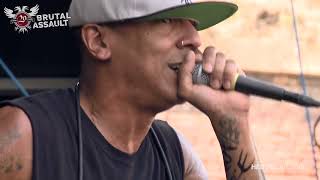 (Hed) P.E. - Blackout & Bartender (2015 Live Woodstock)