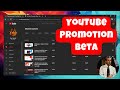 I spent 23014 on youtube promotions beta  results