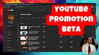 I Spent $230.14 on YouTube Promotions Beta  RESULTS