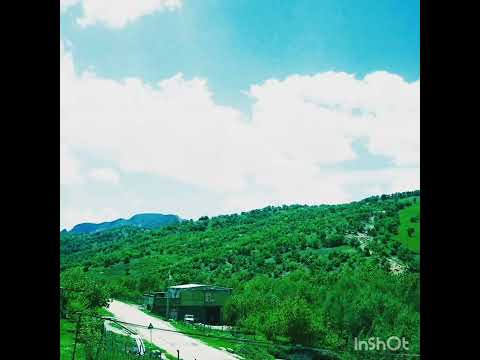 طعبیت بهاری منطقه زیبای بسطام