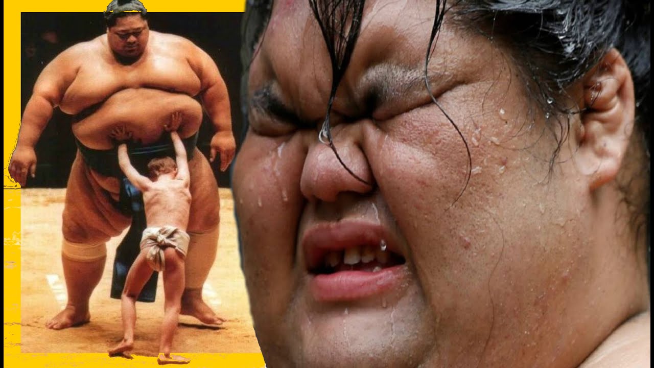 Así es la Vida de los Luchadores de SUMO por esto están tan pesados, y