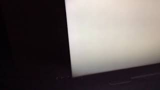 Pokémon let’s go New glitch