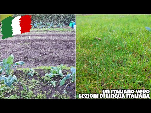 Video: Vantaggi di un giardino suburbano nel cortile - Know How di giardinaggio