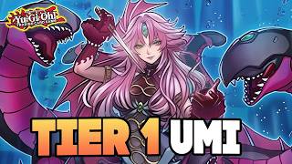 UMI Is FINALLY TIER 1 With This NEW Support! Atlantis Combos & Deck Profile! Yu-Gi-Oh!