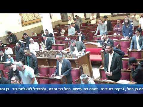 הרב אייל עמרמי - תפילת מנחה וערבית -ה' אייר תשפ"ו