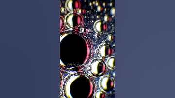 Cleaner at 400X magnification is seriously awesome!