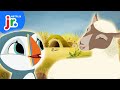 Puffling and Lamb Adventure Quiz