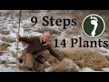 3 minutes 9 steps 14 plants