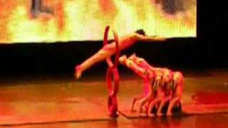 The Art of the Chinese Acrobat