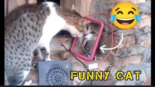 Animals funny clips  part 2 FUNNIEST ANIMAL VIDEO  #viral #funny #comedy