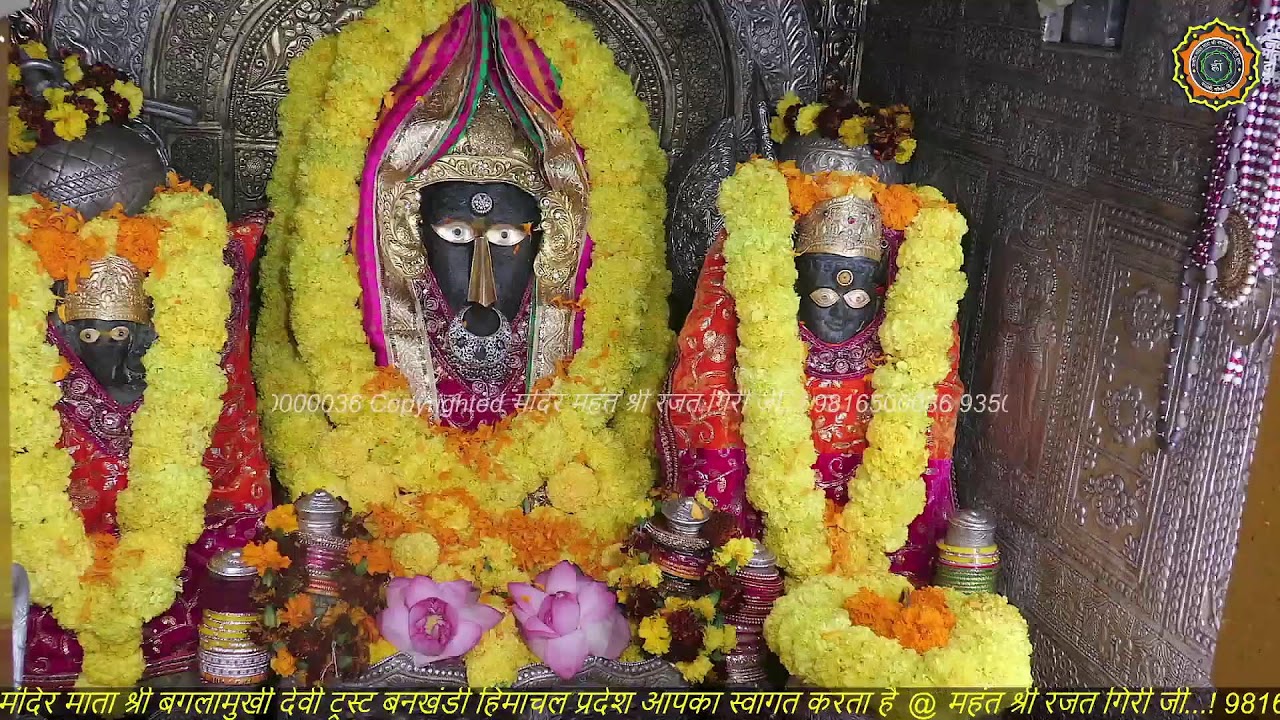 Maa Baglamukhi Official_Live Darshan_mahant shree Rajat giri ji_