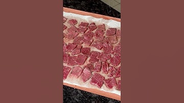 Biltong Chips | day 14 on Carnivore |