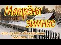 22 ноября Народный Праздник Матрена ЗИМНЯЯ. Матренин день. Народные приметы и традиции.