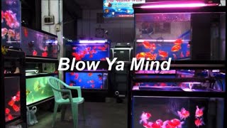 Blow Ya Mind (LYRICS) - Tay Money