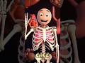 Human Body for Kids 🫀 Learn Bones & Heart in 3D Anatomy for Children