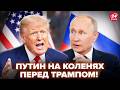 🤯Путин НАПУГАН! Теперь ЯСНО, о чем Кремль УМОЛЯЛ Трампа. Лютое УНИЖЕНИЕ МОСКВЫ: конец для России