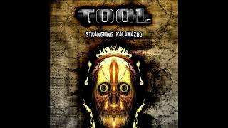 Tool - Merkaba (Live in Kalamazoo)