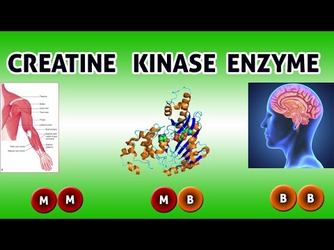 Video: CPK Isoenzymes Test: Formål, Prosedyre Og Resultater