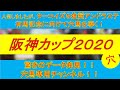 【阪神カップ2020】有馬記念に向けて弾みを！驚きのデータ発見！