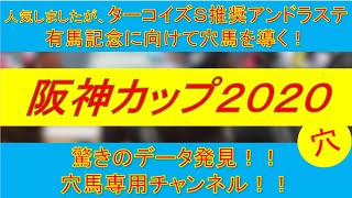 【阪神カップ2020】有馬記念に向けて弾みを！驚きのデータ発見！