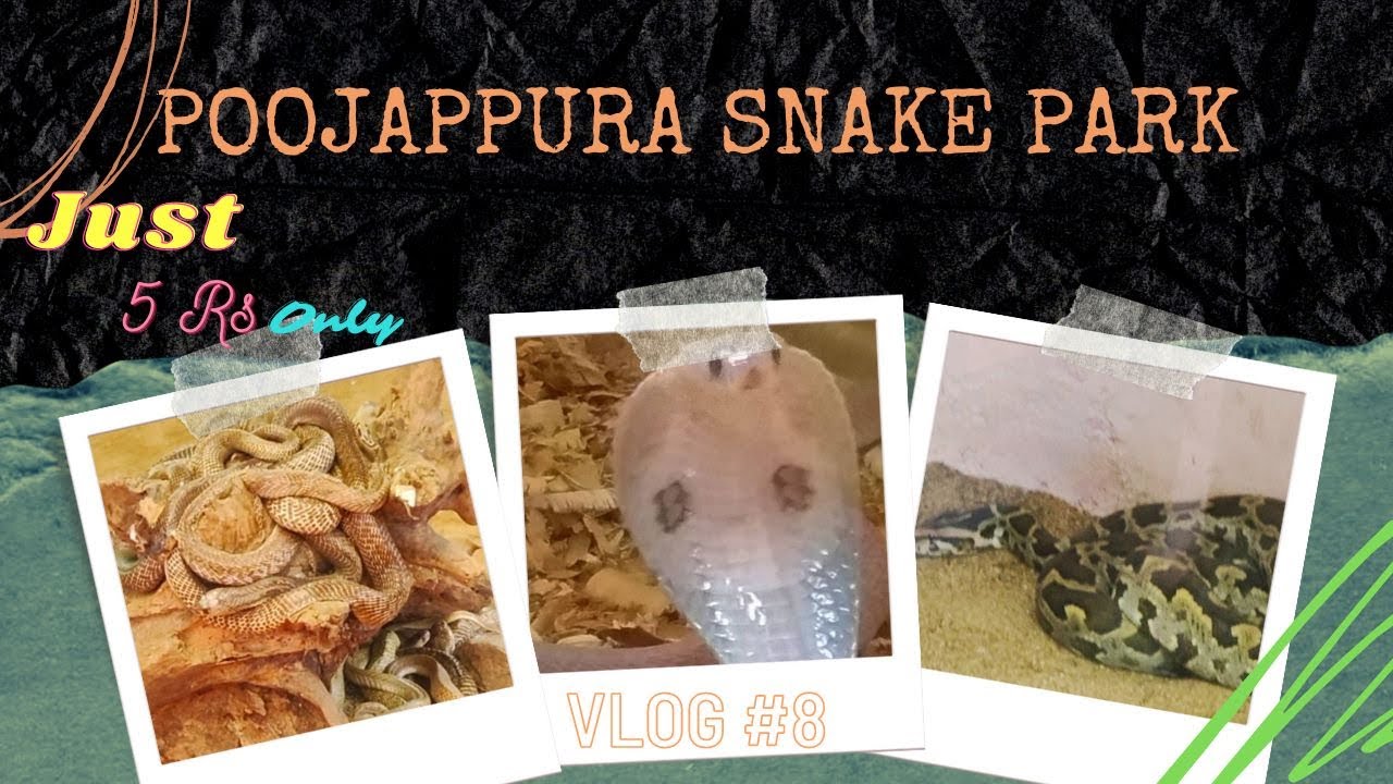 Poojappura Snake Park Trivandrum 2022 Kerala Vlog 8 YouTube