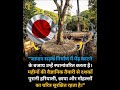 जापान सड़क निर्माण में पेड़ काटने की बजाए उन्हें बचाया जा रहा है।