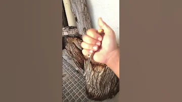 الوضعيه الصحيحه لمسكة السكين 