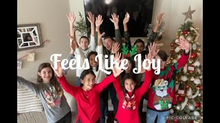 Feels Like Joy by Micah Tyler (Cover)