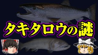 【ゆっくり解説】伝説の巨大魚タキタロウの謎！