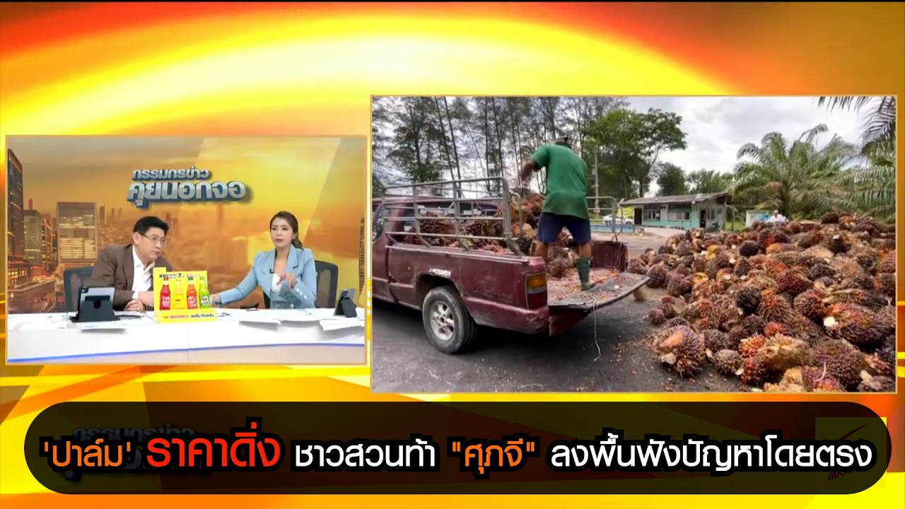 'ปาล์ม' ราคาดิ่ง ชาวสวนท้า "ศุภจี" ลงพื้นฟังปัญหาโดยตรง
