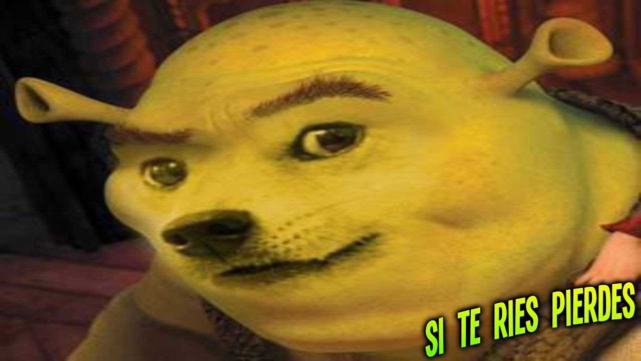 SI TE RIES PIERDES (NIVEL DIOS) YouTube SI TE RIES PIERDES (NIVEL DIOS) YouTube