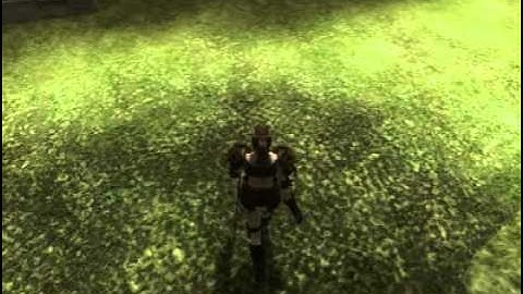 New Tree Shadow Exemple