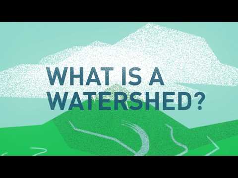 فيديو: ما هو مستجمعات المياه؟
