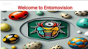 "Chapter 1: Introduction to Entomology | Types of Insect Eggs Explained"
