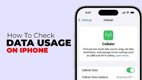 How to Check Cellular Data Usage on iPhone (iOS 17/18) – Track Mobile Data Easily