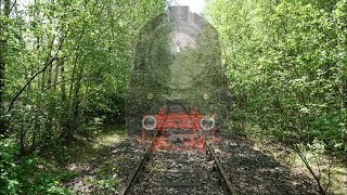 Das Letzte Stück Gleis Der Innerstetalbahn, Es War Die Strecke Richtung Forsthaus Lindthal