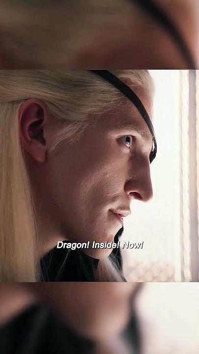 The Dragon Family #movie #action