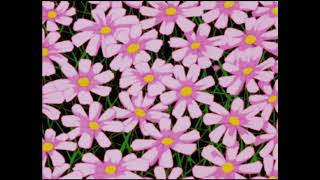 Treasure- bruno mars//slowed & 3d audio