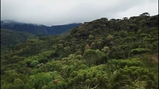 Parlamento vai produzir manual sobre alterações no Código Ambiental