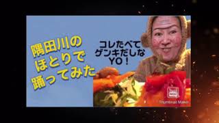 さるっちゃまんが隅田川のほとりで踊ってみた