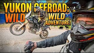 Yukon Is No Country For Ordinary Riders - Arctic Moto and Outback Motortek Go Deep In The Woods