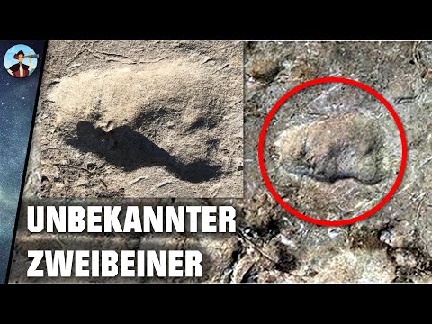 Forscher finden völlig