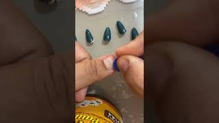 Unha Postiça Que Dura Quase 1 Mês Aline Karla Gomes