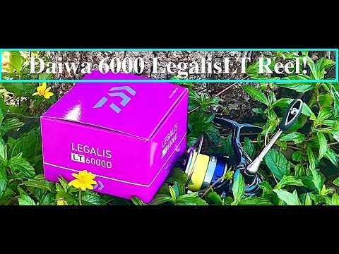 I Chose a Daiwa Legalis LT Reel For Inshore Plugging & Why! 