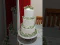 Amazing beautiful cake decorating ideas cake tutorial for beginners 