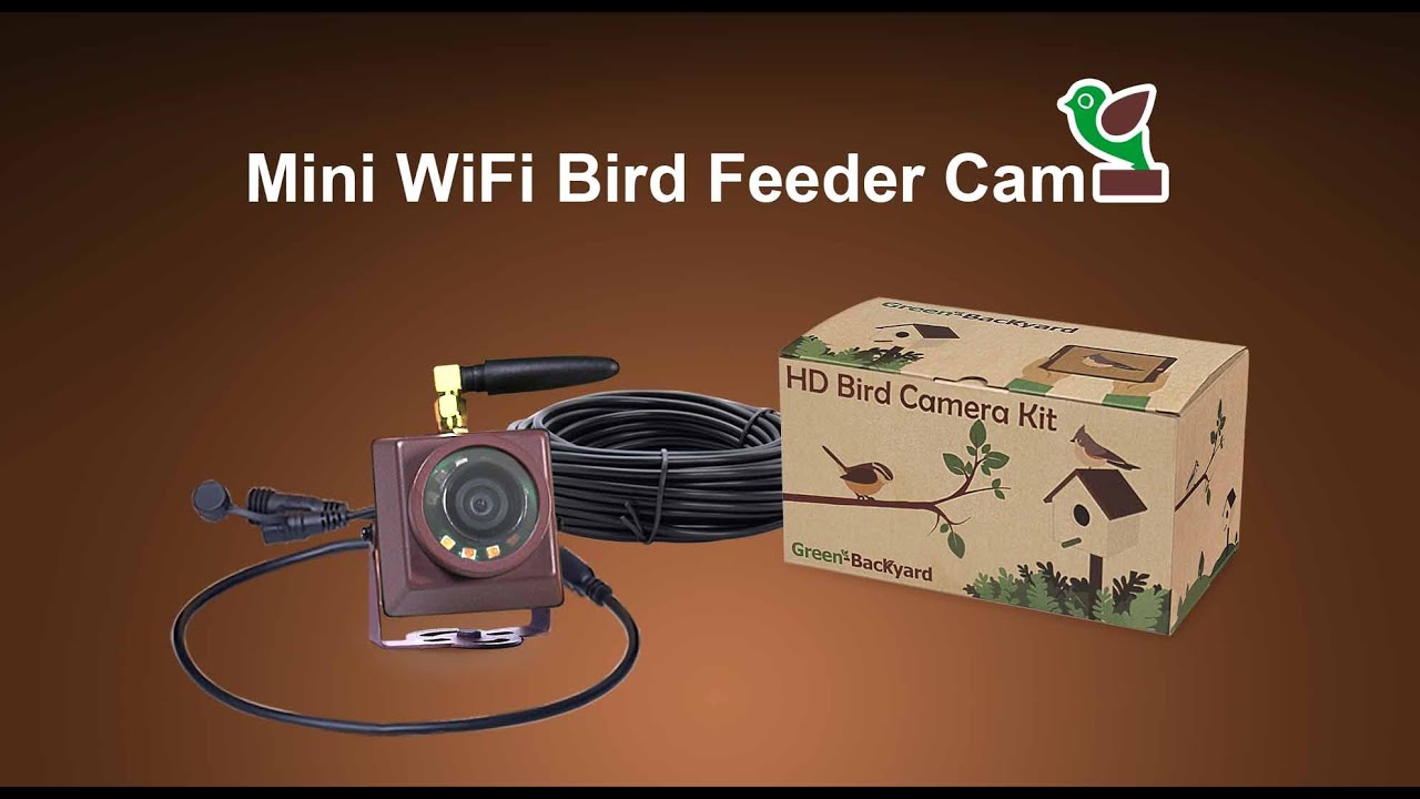 Mangeoire pour les oiseaux avec mini caméra IP