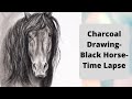 Realistic Black Horse Drawing-Speed Demo-Friesian Horse-In Charcoal