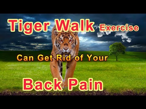 Oriental Back Pain Exercise-Back Pain Relief At Home-Tiger Walk