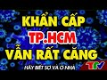 [ DỊCH VIỆT NAM ]@TIN TỨC VIỆT   SÁNG 24/8/2021 | Cập nhật mới nhất tin tức dịch bệnh trên cả nước