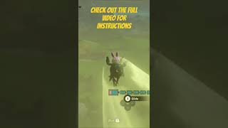 New super launch glitch is insane! #tearsofthekingdom #shorts
